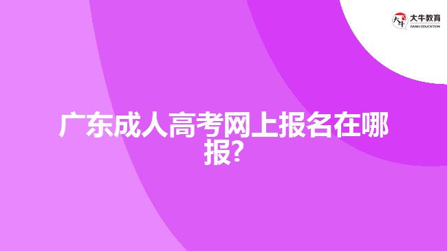 广东成人高考网上报名