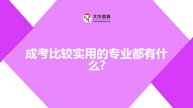 成考比较实用的专业