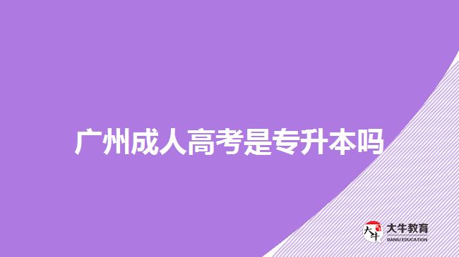 广州成人高考是专升本吗