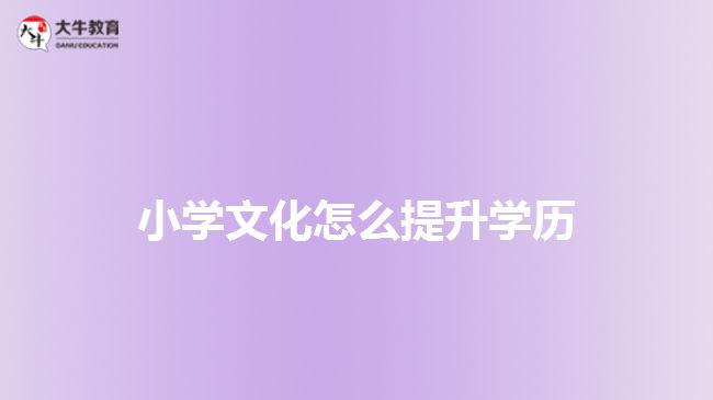 小学文化怎么提升学历