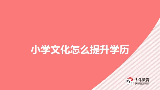 小学文化怎么提升学历