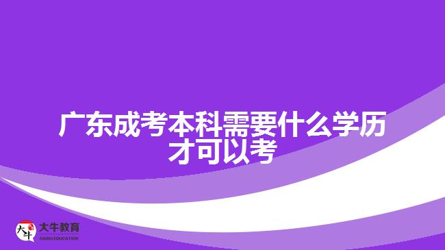 广东成考本科需要什么学历才可以考