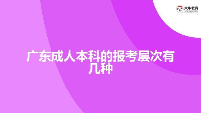 广东成人本科的报考层次有几种