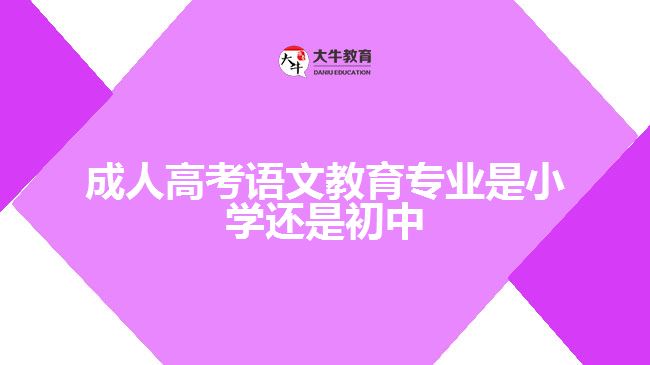 成人高考语文教育专业