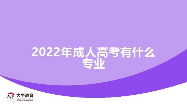 2022年成人高考有什么专业