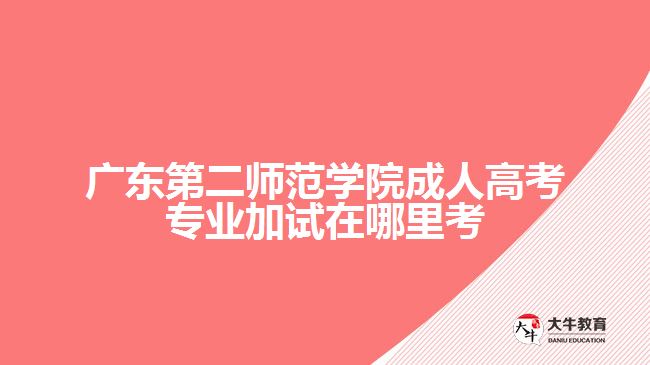 广东第二师范学院成人高考加试