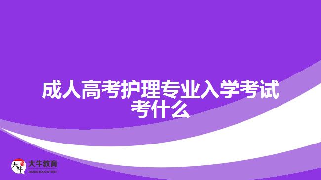 成人高考护理专业入学考试考什么